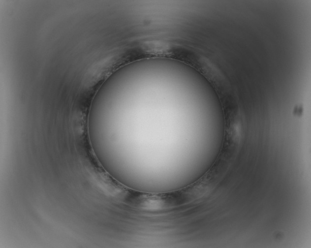 X0000111220658200907021336