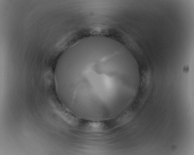 X0000111220659200907021336