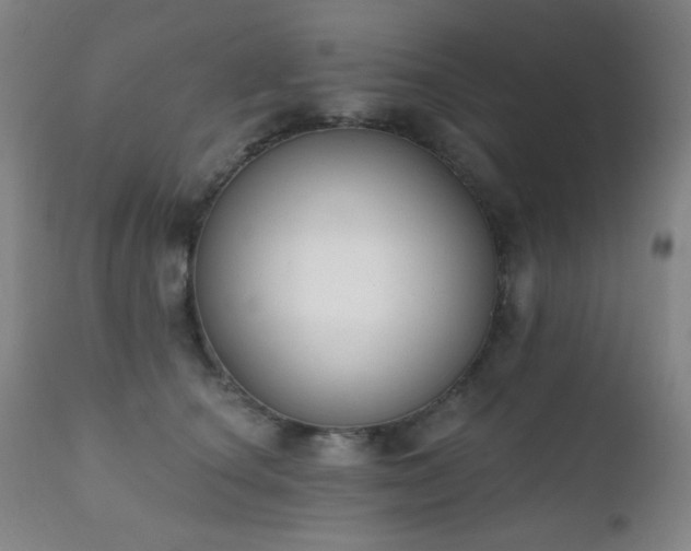 X0000111220660200907021336