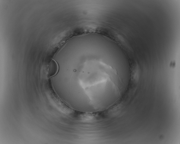 X0000111220661200907021336