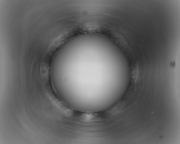 X0000111220662200907021336