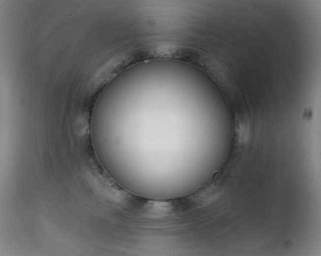 X0000111220665200907021336