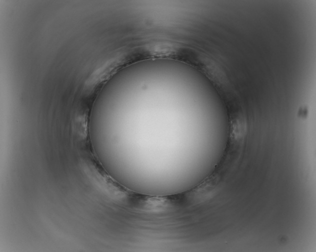 X0000111220666200907021336