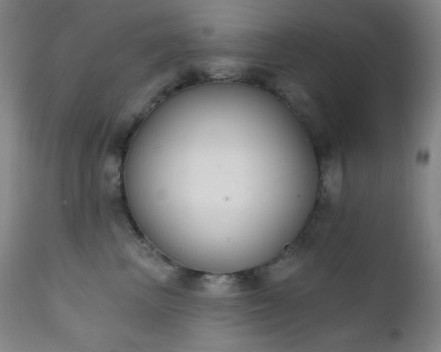 X0000111220667200907021336