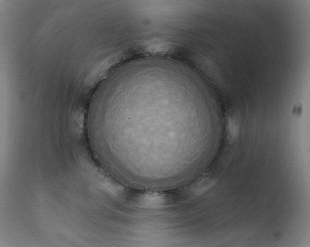 X0000111220668200907021336