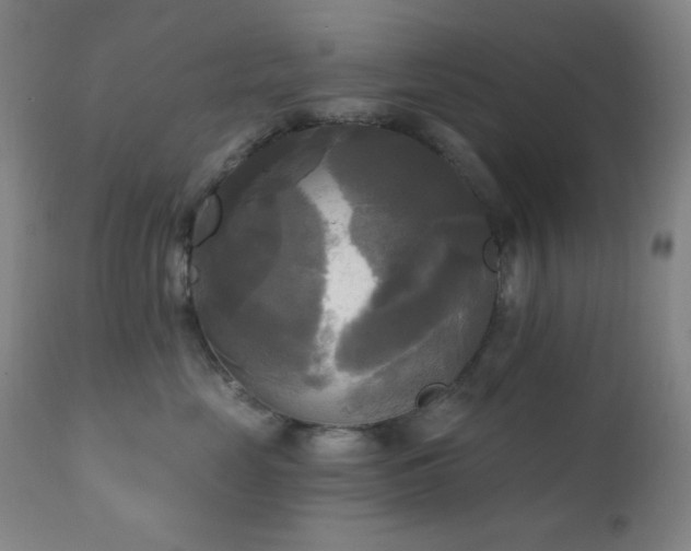 X0000111220669200907021336