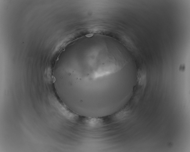 X0000111220670200907021336