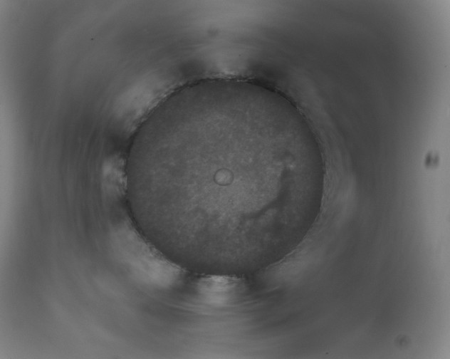 X0000111220672200907021336