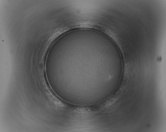 X0000111220673200907021335