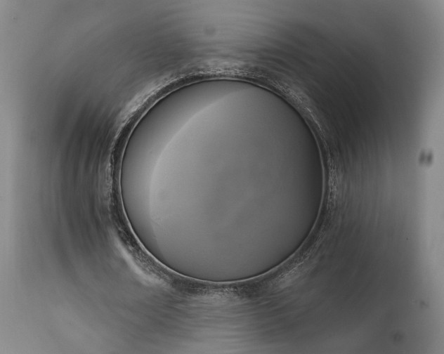 X0000111220674200907021335