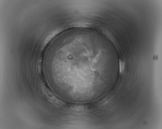 X0000111220675200907021335