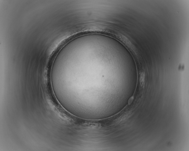 X0000111220676200907021335
