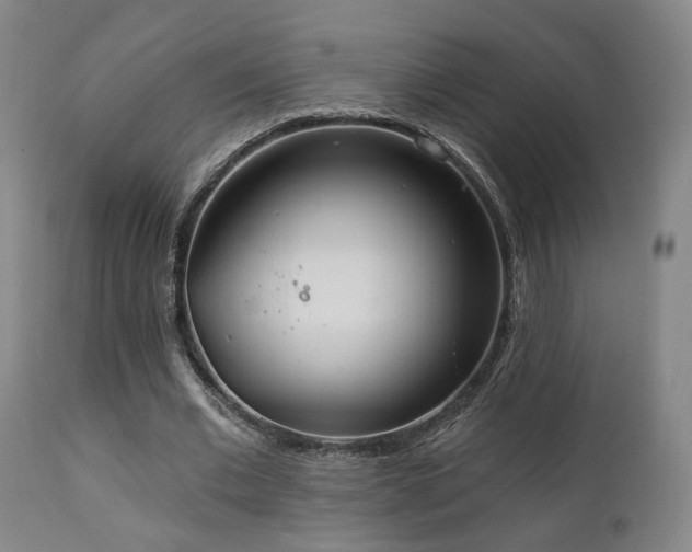X0000111220677200907021335
