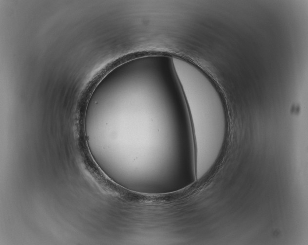 X0000111220680200907021335