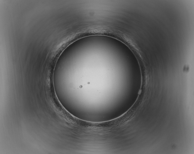 X0000111220681200907021335