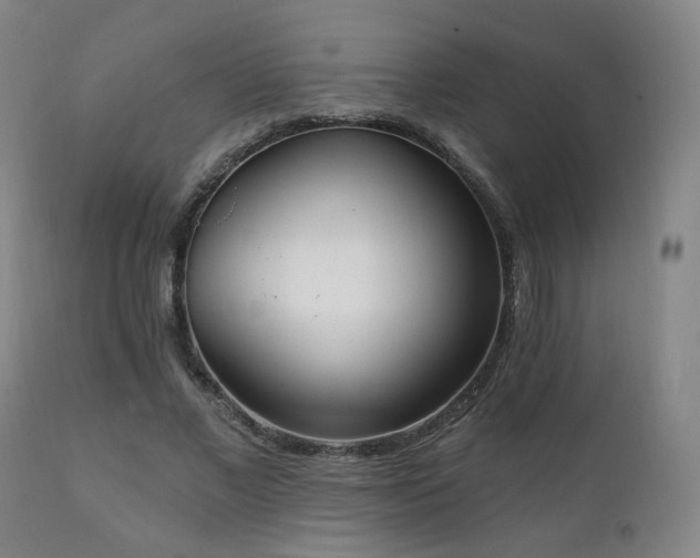 X0000111220685200907021335