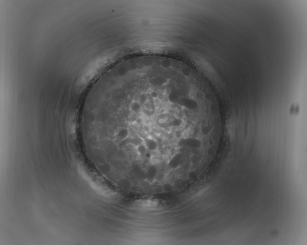 X0000111220687200907021335