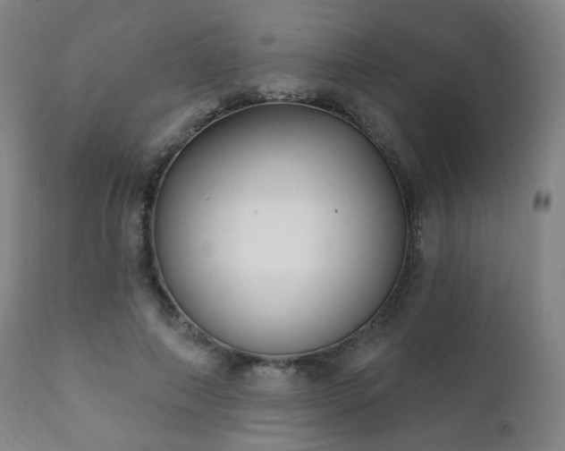 X0000111220690200907021335