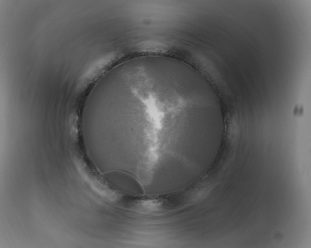 X0000111220692200907021335
