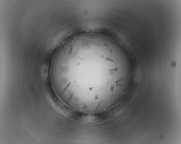 X0000111220695200907021335