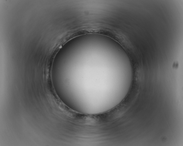 X0000111220697200907021335
