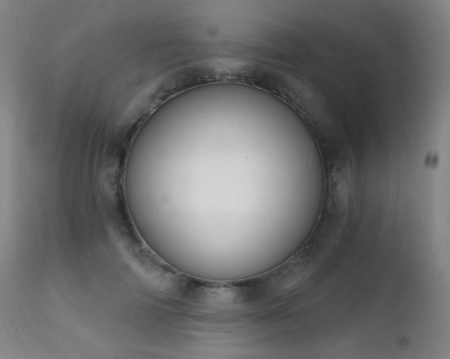 X0000111220698200907021335