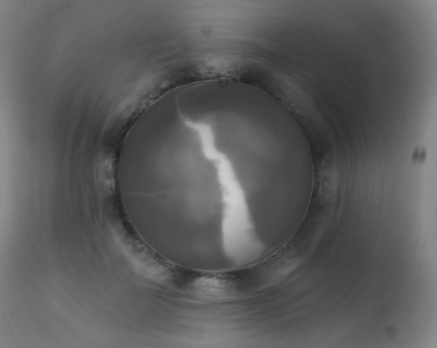 X0000111220699200907021335