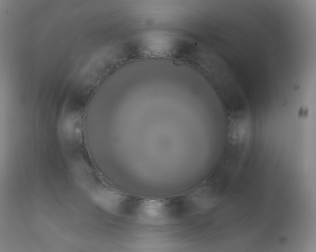 X0000111220701200907021335