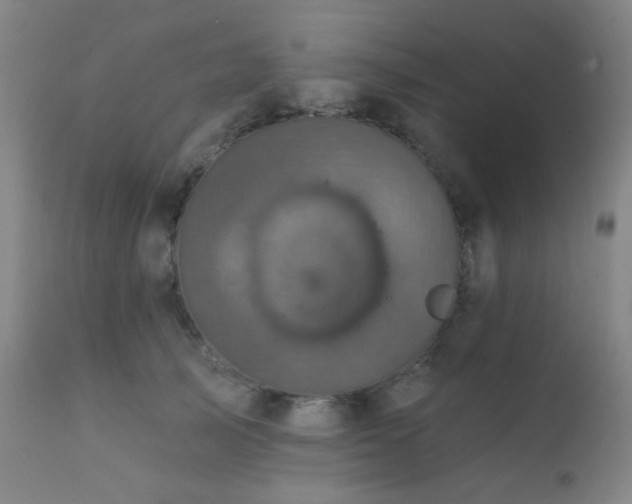 X0000111220705200907021335