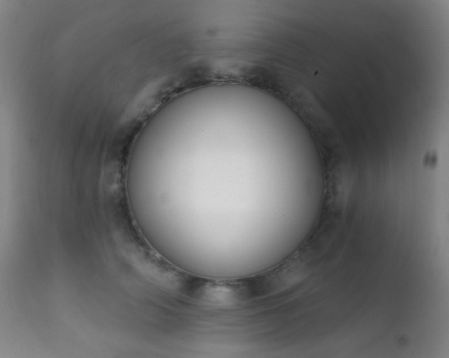 X0000111220706200907021335