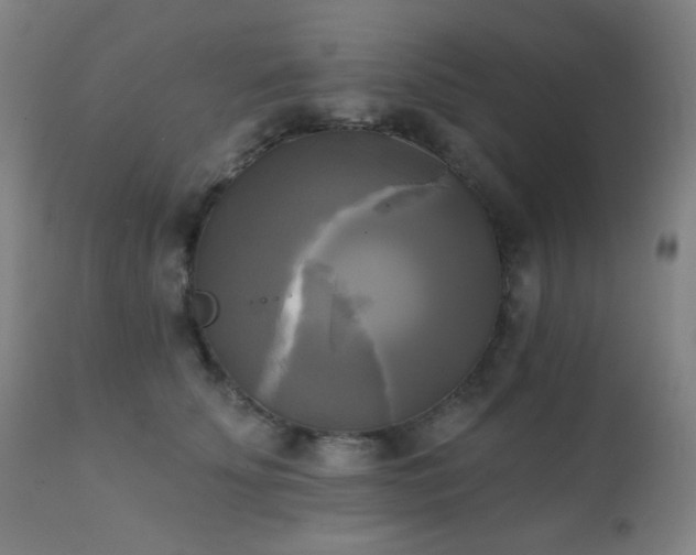 X0000111220707200907021335
