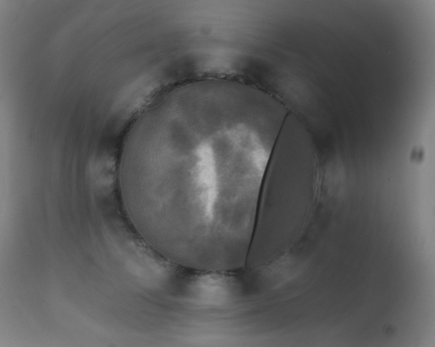X0000111220708200907021335