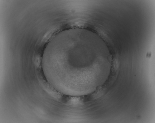 X0000111220709200907021335