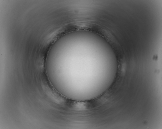 X0000111220710200907021334