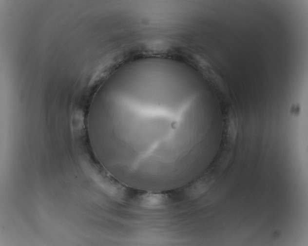 X0000111220711200907021334