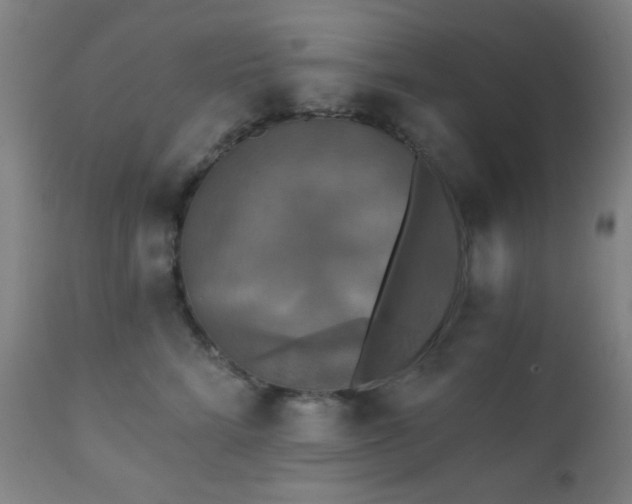 X0000111220712200907021334