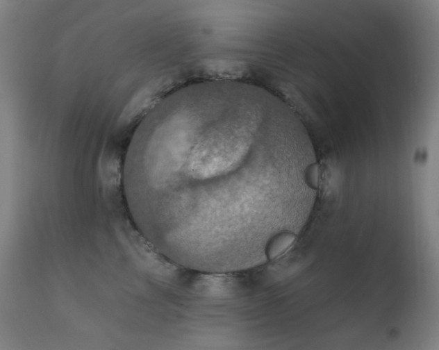 X0000111220713200907021334