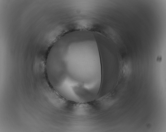 X0000111220716200907021334