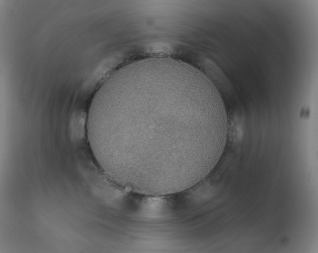 X0000111220717200907021334