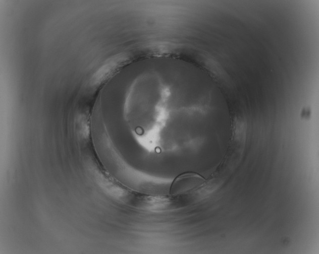 X0000111220719200907021334