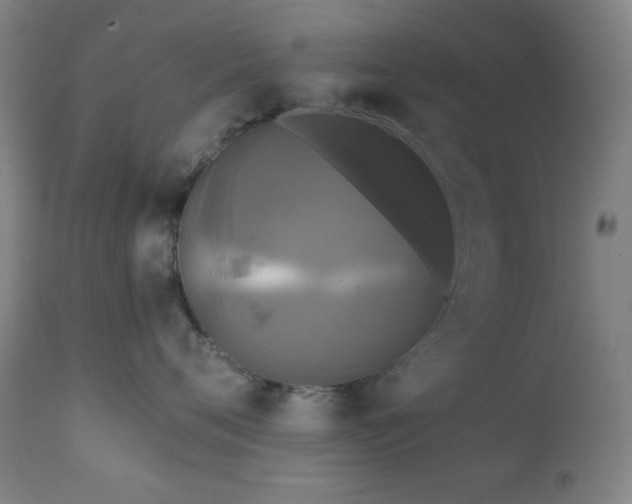 X0000111220720200907021334