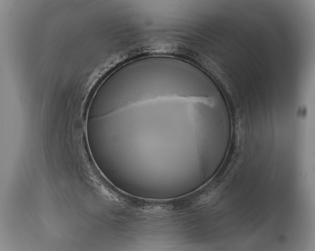 X0000111220721200907021334
