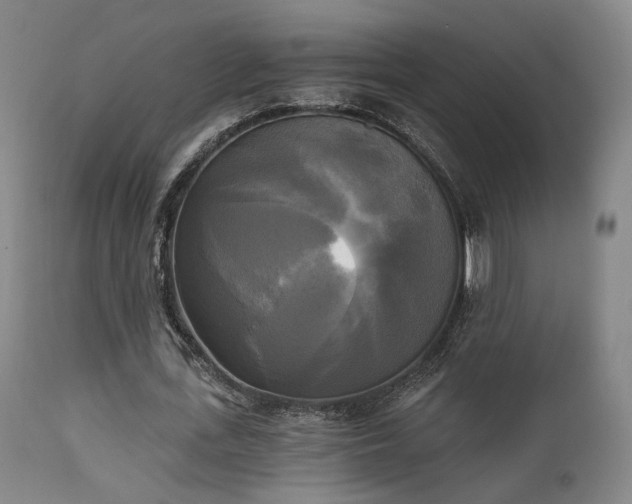 X0000111220723200907021334