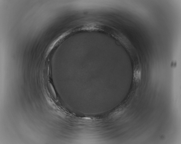 X0000111220724200907021334