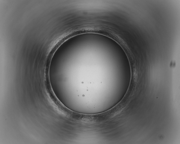X0000111220725200907021334