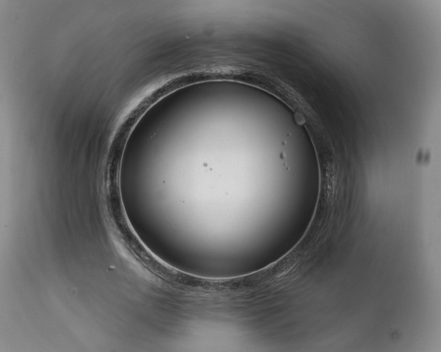 X0000111220726200907021334