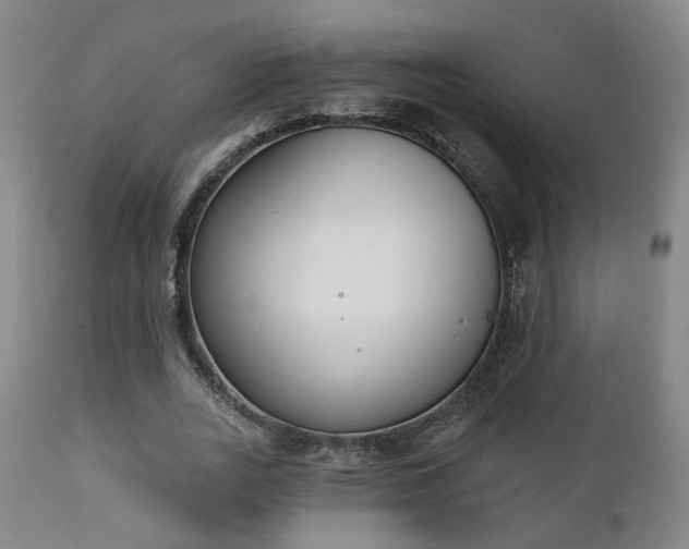 X0000111220727200907021334