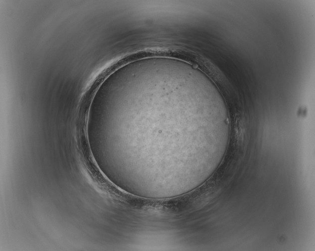 X0000111220728200907021334