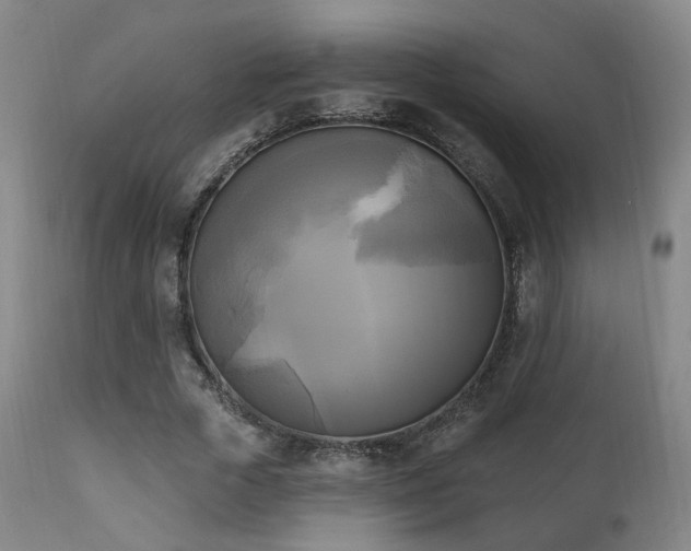X0000111220729200907021334