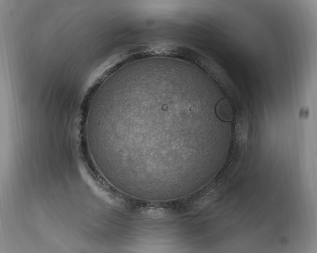 X0000111220730200907021334